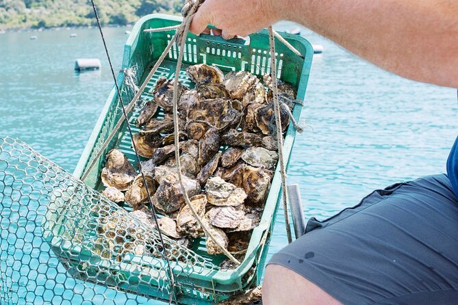 Ston Gastro Tour - Driving from Dubrovnik instead of going alone