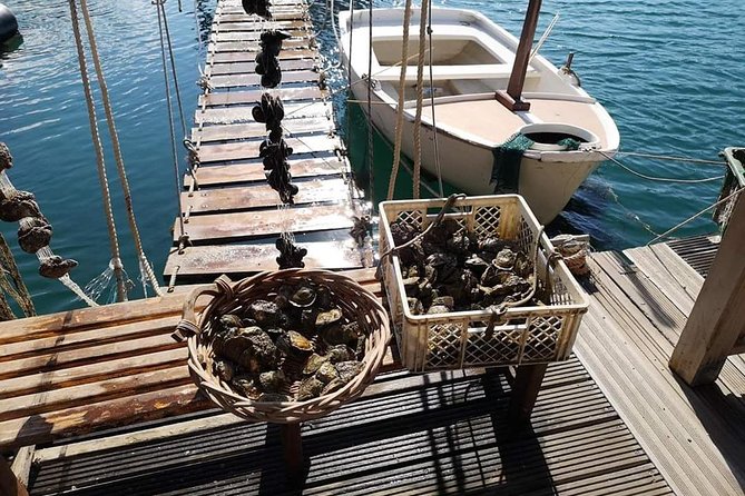 Ston Gastro Tour - Timing, dress, and who will enjoy it most