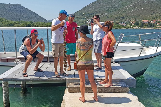 Ston Oysters & Wine Tasting Tour from Dubrovnik - Why the oyster stop is the heart of the day