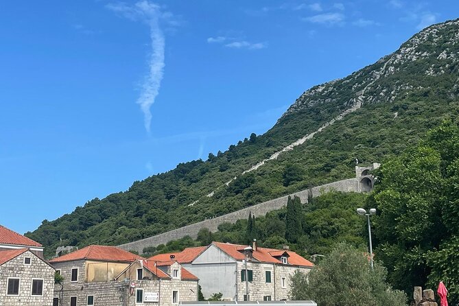 Ston Seafood & Pelješa Wine Boat Tour with Oysters and Mussels - Why the oysters are the heart of the day