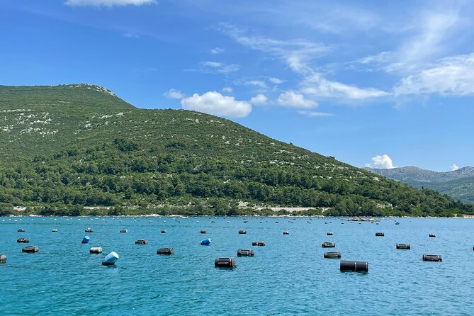 Ston Seafood & Pelješa Wine Boat Tour with Oysters and Mussels - The Škurla family winery in Broce