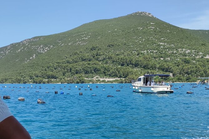 Ston Seafood & Pelješa Wine Boat Tour with Oysters and Mussels - Is $180.72 a fair price?