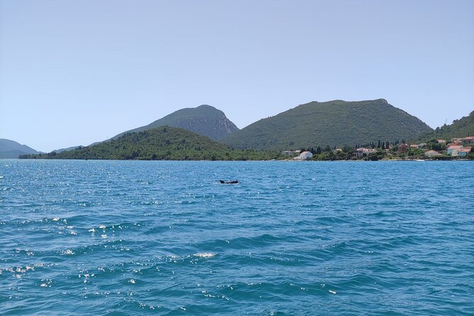 Ston Seafood & Pelješa Wine Boat Tour with Oysters and Mussels - Group size, comfort, and the feel of the day