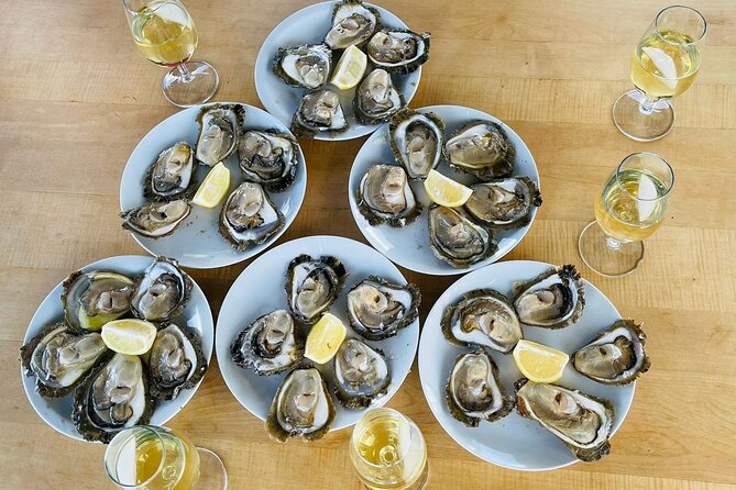 Ston Seafood & Pelješa Wine Boat Tour with Oysters and Mussels - Hodilje and the Buzara mussel lunch