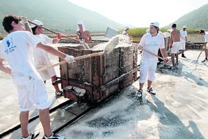Ston Tour: City Walls, Saltworks, Wine & Adriatic Seafood - Miloš Winery and the taste of Pelješac