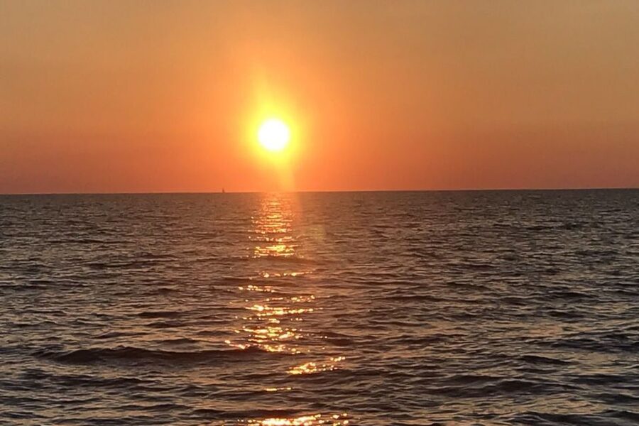Sunset Dolphin Cruise with Dinner – Medulin Archipelago - Looking for Dolphins in the Adriatic