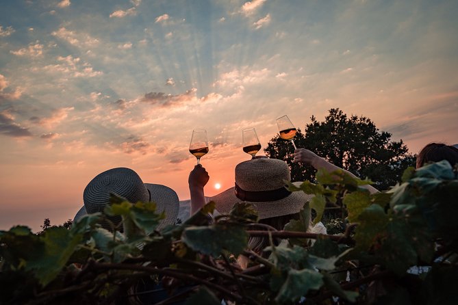 Sunset wine tasting in vineyard - Sunset over Župa Dubrovačka