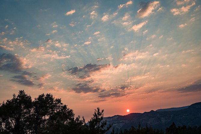 Sunset wine tasting in vineyard - Pickup, timing, and the $96.55 price