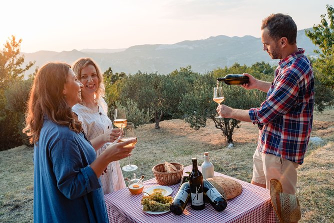 Sunset wine tasting in vineyard - Who should book this Dubrovnik wine tasting?