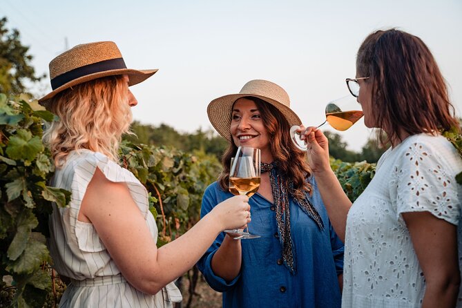 Sunset wine tasting in vineyard - Wine, liqueurs, olive oil, and homemade bread