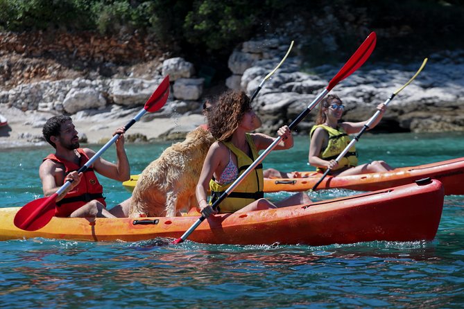 Supetar-Postira kayaking - Pine woods, olive groves, and old stone walls