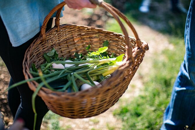 Traditional Cooking Class in Dubrovnik Countryside - Group size, dietary needs, and practical details