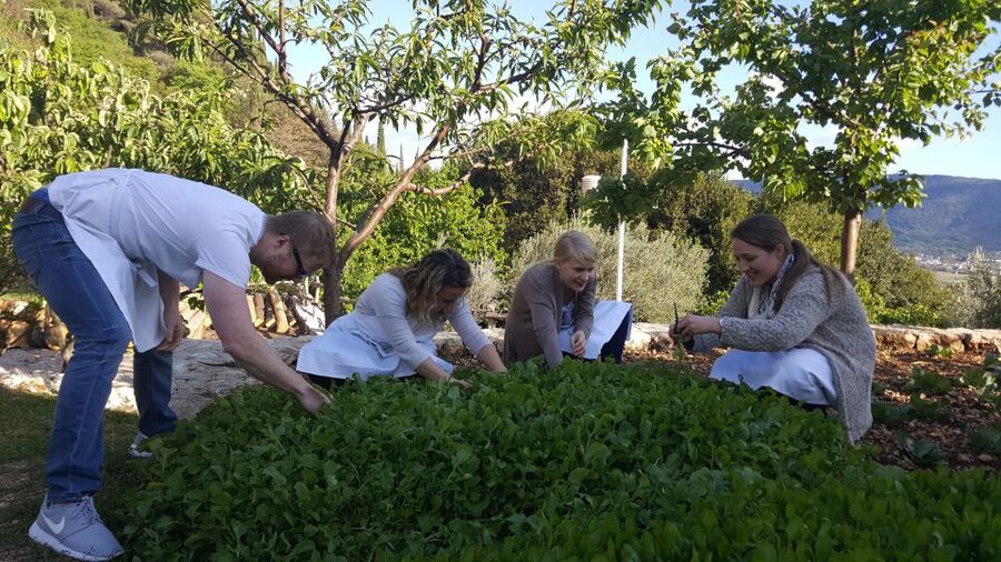 Traditional Dalmatian Cooking Class from Dubrovnik - Key points to know before booking