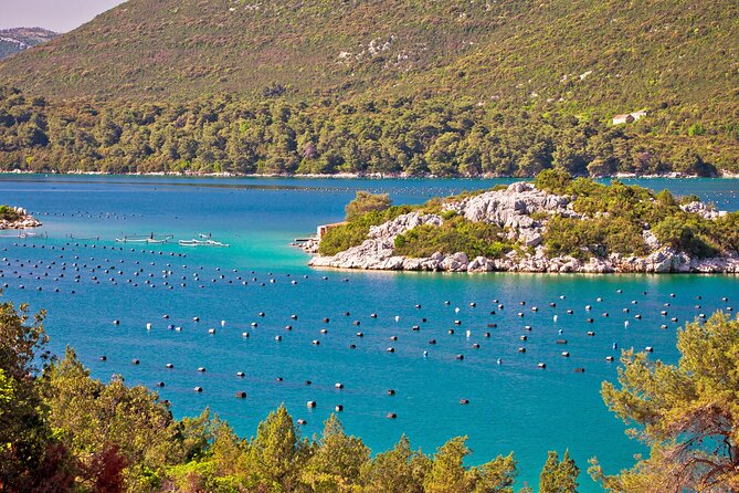 Transfer Dubrovnik to Split with Sightseeing in Ston Town - Ston’s old center gives the journey a real sense of place