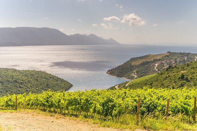 Transfer Dubrovnik to Split with Sightseeing in Ston Town - Who will get the most from this experience?