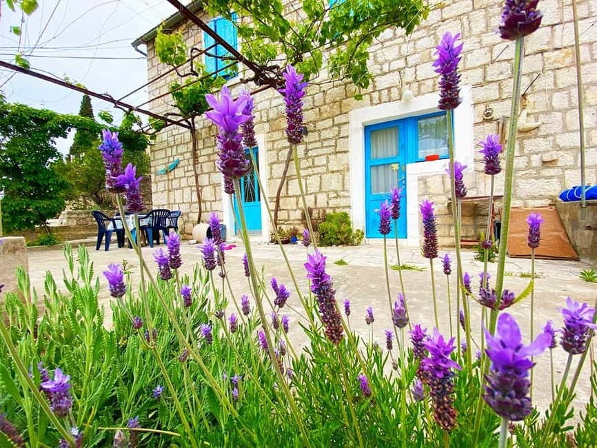 Trogir: Blue Lagoon, Maslinica, and Solinska Bay Boat Tour - Krknjaši Blue Lagoon and the long final swim