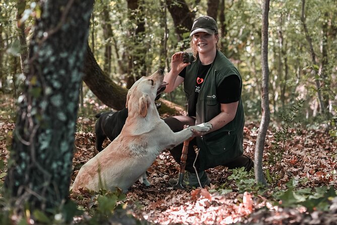 Truffle hunting & cooking tour - Arriving at Karlić Truffles in Paladini