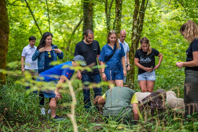 Truffle hunting & cooking tour - What the forest walk is like underfoot