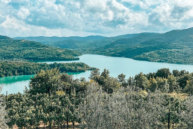 Truffle hunting & cooking tour - Is $130.66 a fair price?