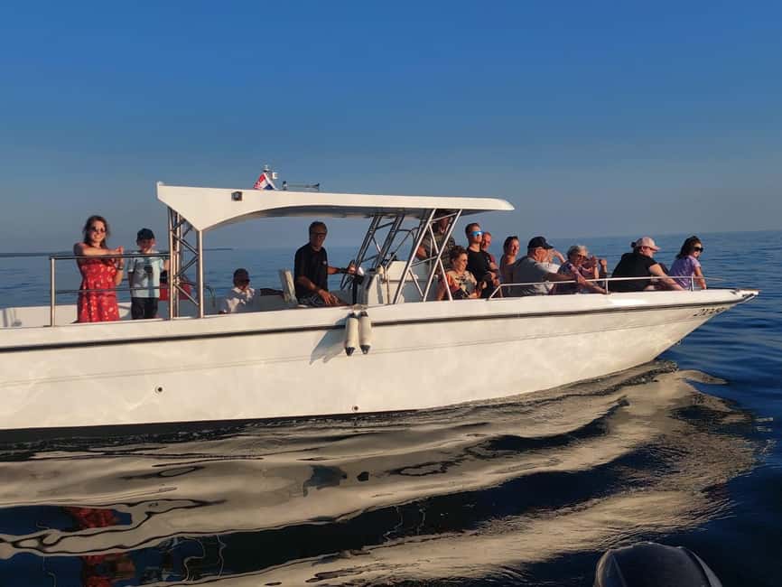 Umag: Dolphinwatching & sunset panorama tour - Key points at a glance