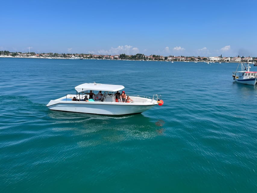 Umag: Dolphinwatching & sunset panorama tour - The western Istrian coast from the sea