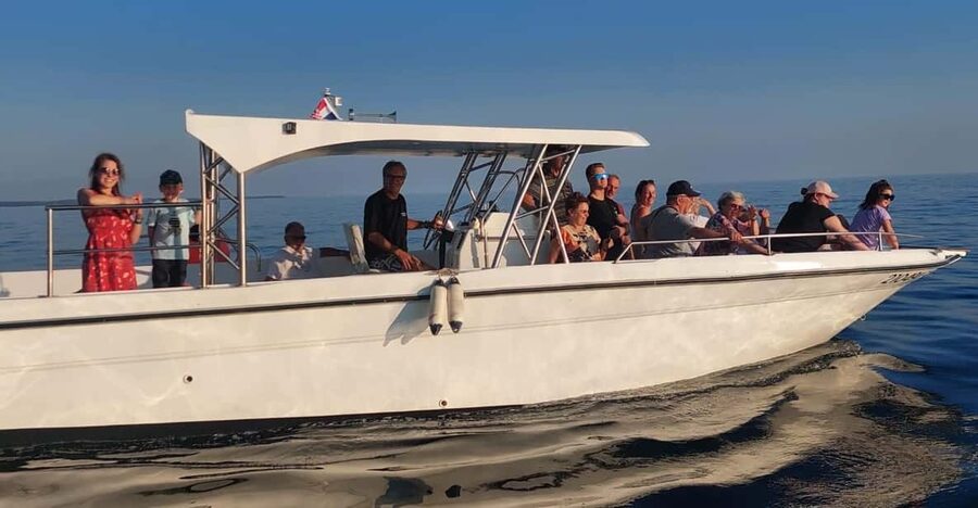 Umag: Dolphinwatching & sunset panorama tour - Searching for dolphins in protected water