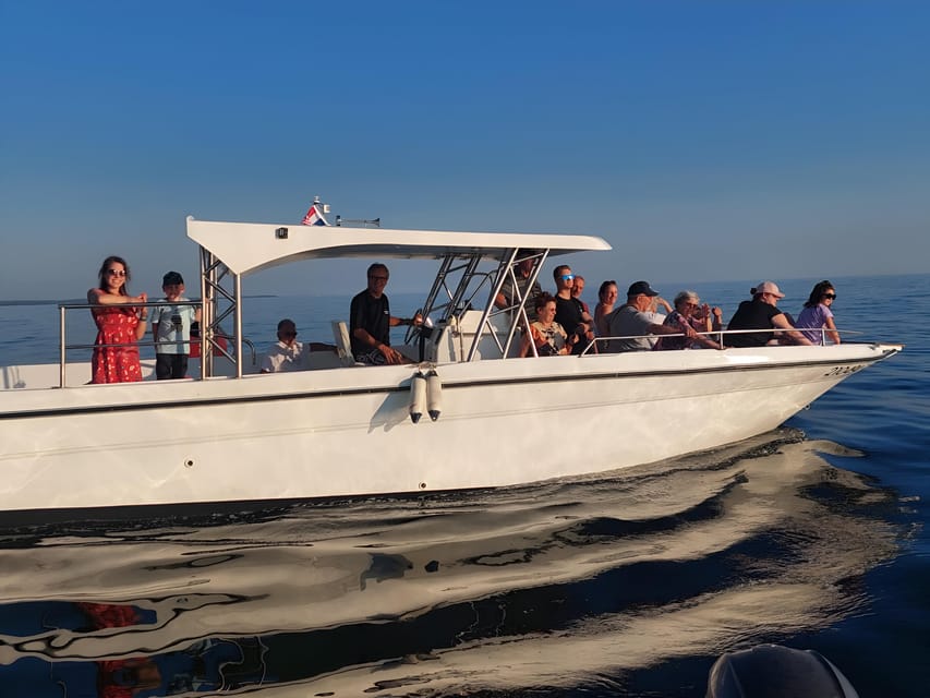 Umag: Snorkeling & dolphinwatching morning boat tour - Who should book this morning cruise