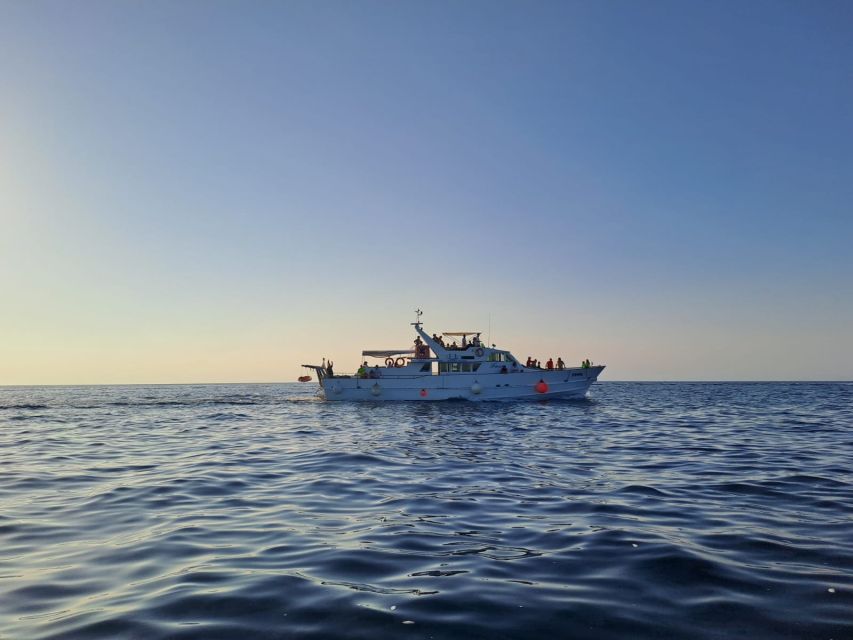Umag: Sunset Cruise with Dolphin Spotting - Key points to know before you book