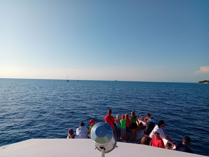 Umag: Sunset Cruise with Dolphin Spotting - Why this Umag cruise is worth your evening
