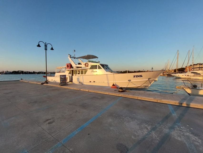 Umag: Sunset Cruise with Dolphin Spotting - Weather, clothing, and practical planning