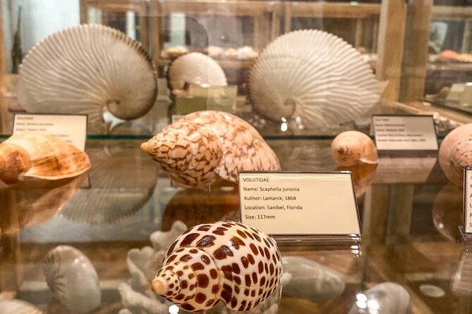Visit Shell Museum Cavtat - A family collection with a personal story