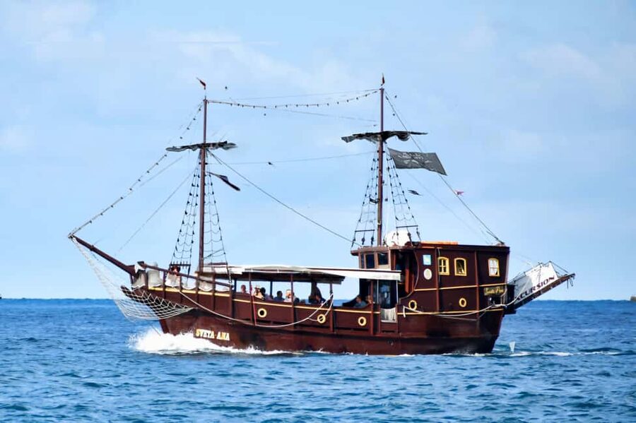 Vrsar: Dolphin Watching Boat Ride - Key points to know before you book
