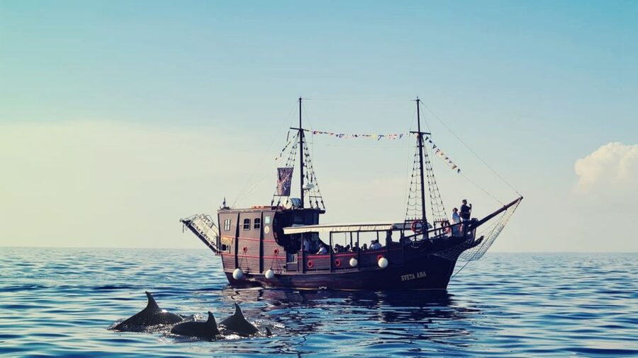 Vrsar: Dolphin Watching Boat Ride - Booking advice and final verdict