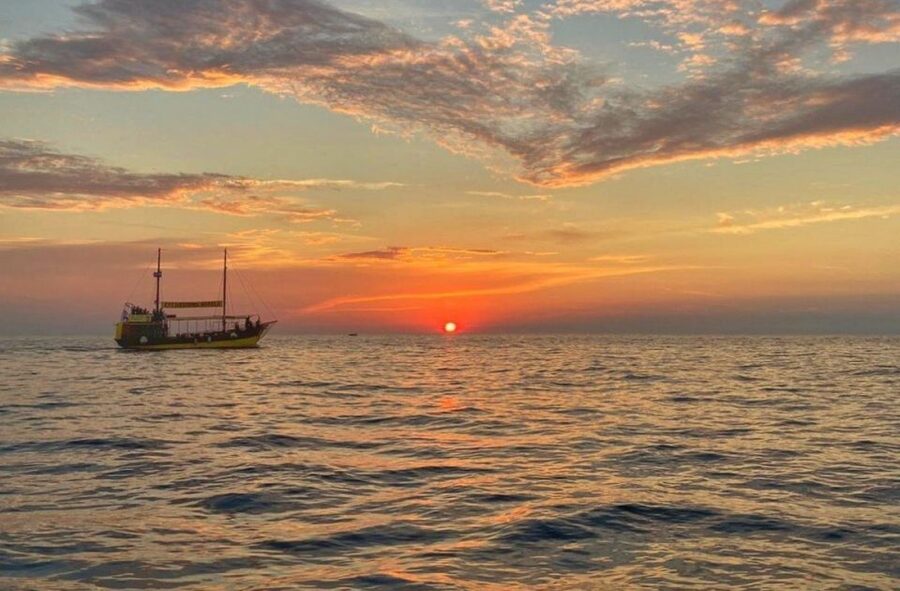 Vrsar: Dolphin Watching Boat Tour including Drinks - At a glance
