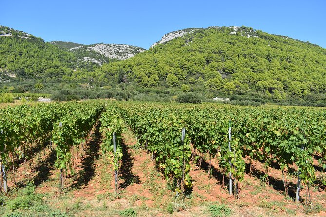 Wine & Sightseeing Tour Korcula - Key points before you book