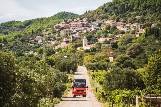 Wine & Sightseeing Tour Korcula - First winery: a good introduction to Korčulan wine