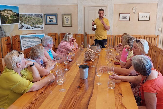 Wine tour Peljesac - What the $270.36 price really includes