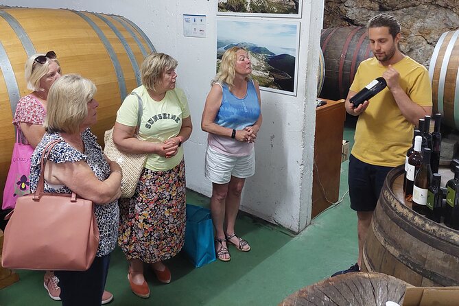 Wine tour Peljesac - The small group and Ordan’s role