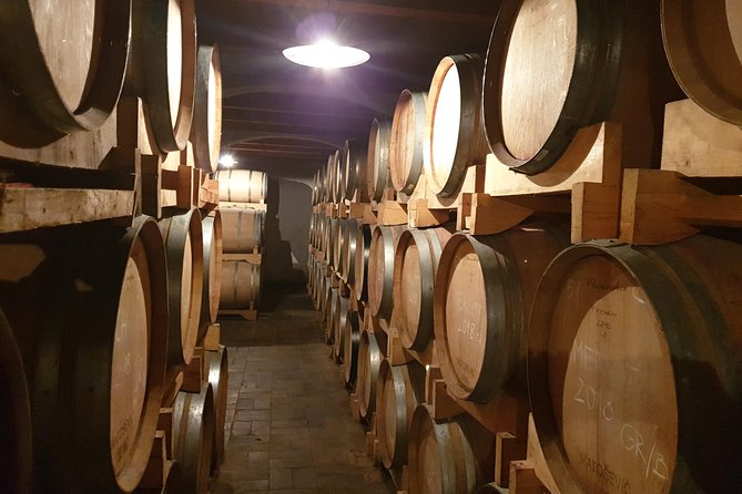 Wine Tour - The Best of Istria - Key points at a glance