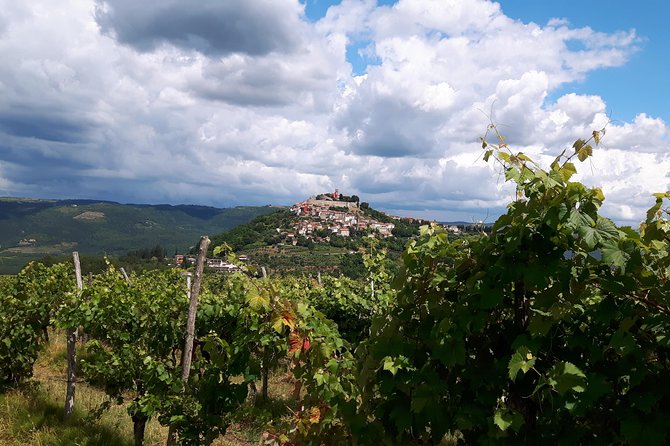 Wine Tour - The Best of Istria - Why this is more than a standard winery outing