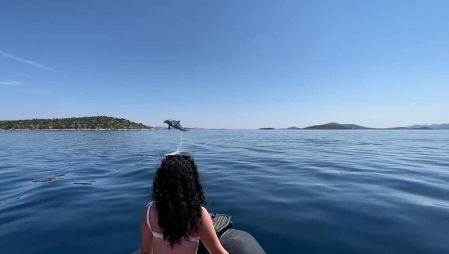 Zadar: 3-Island Speedboat Tour with Snorkeling and Drinks - The surprise island and its clear water