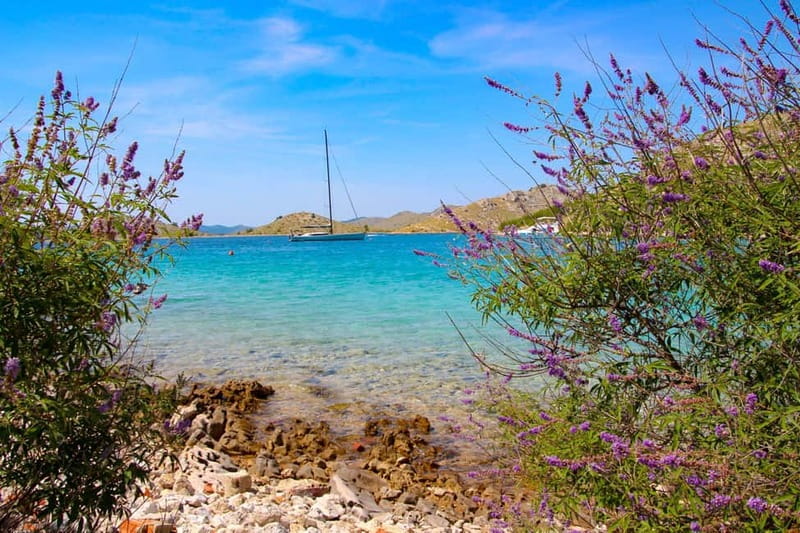 Zadar: 3-Stop Blue Lagoon & Snorkeling Cruise with Drinks - A good fit for a relaxed half-day