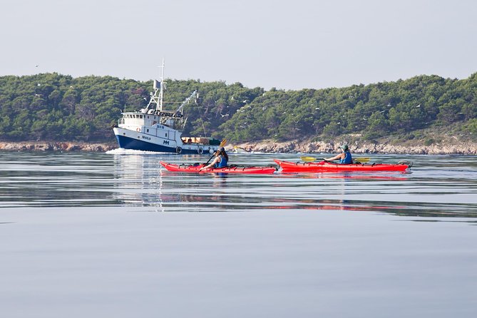 Zadar Archipelago 3 Islands Sea Kayaking Day Trip - Equipment and group size add real value to the price