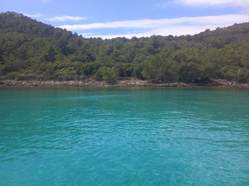 Zadar: Boat tour Half day -Private - Frnaža or Otrić: the swim stop