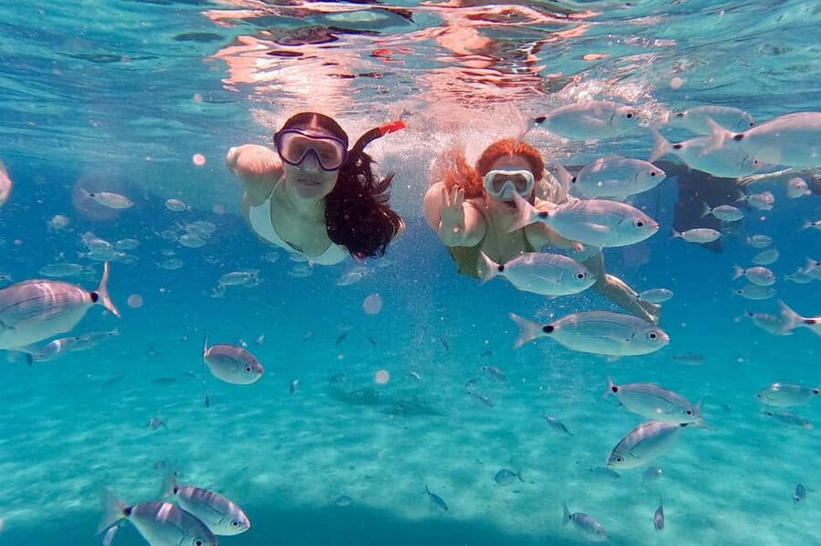Zadar: Dugi Otok Island Discovery Day Trip with Snorkeling - The lunch break and what to bring