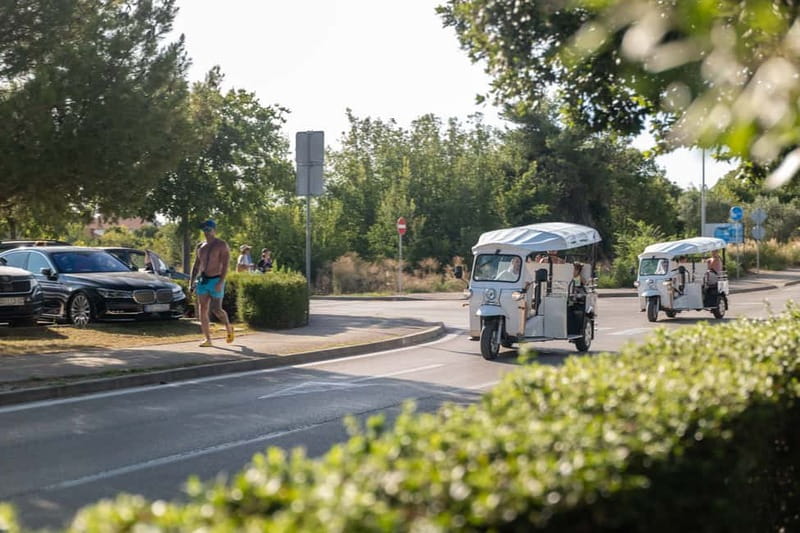 Zadar: Hidden Gems Eco Tuk Tuk Tour - The market, Maraschino, and daily Zadar