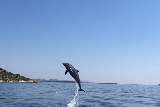 Zadar: Island Luxury Speedboat Tour with Snorkeling - Should you book the Zadar three-island trip?