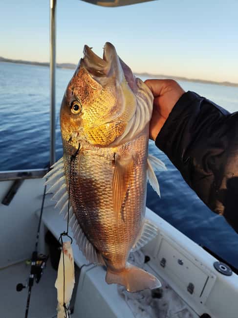 Zadar: Sunset Fishing Half-Day Guided Boat Trip - Practical tips for a smoother outing