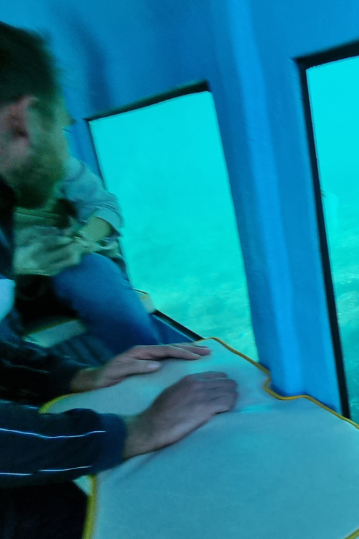 Zadar: Yellow Semi-Submarine Underwater Exploration Tour - What you see below the surface