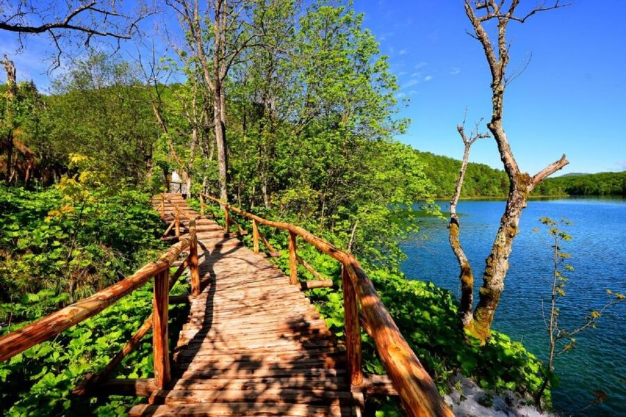 Zagreb to Split: Private Transfer with Plitvice Lakes - Why Plitvice Makes the Zagreb-to-Split Journey Worthwhile